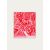 CORAIL