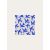 BLEU / BLANC