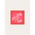 CORAIL
