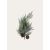 VERT NEIGE