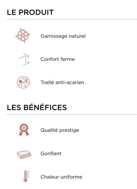 OREILLER RECTANGULAIRE FERME ANTI-ACARIENS NATUREL