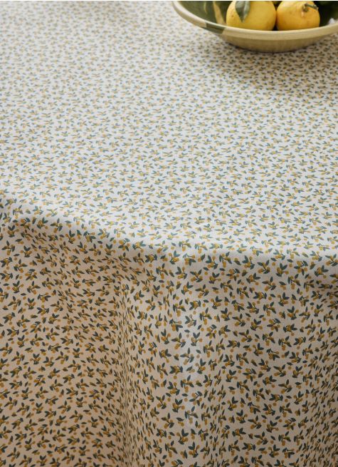 NAPPE ENDUITE EN COTON CERY