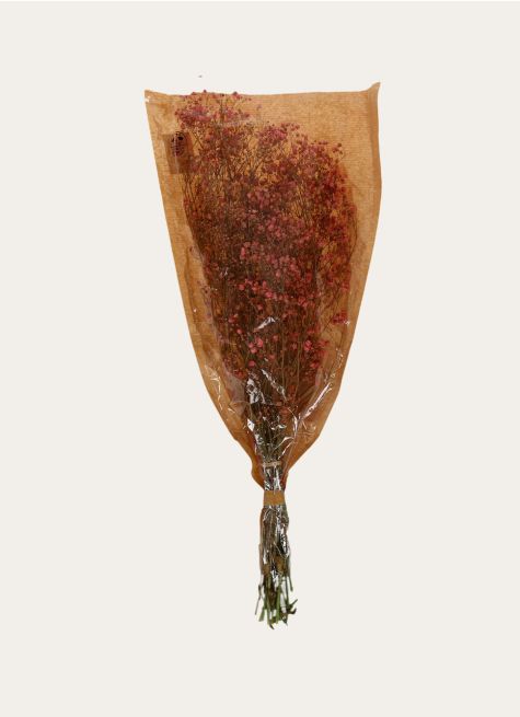 BOUQUET DE FLEURS SÉCHÉES