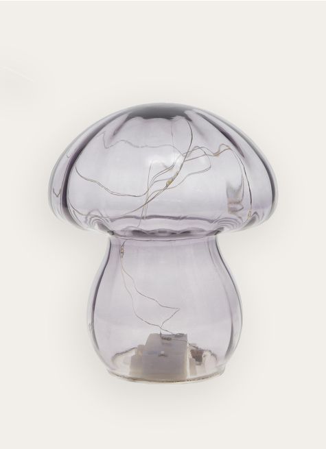 CHAMPIGNON LUMINEUX 