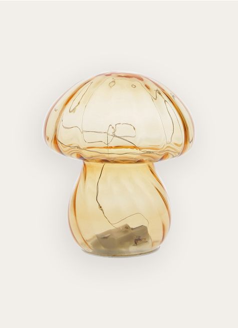 CHAMPIGNON LUMINEUX 