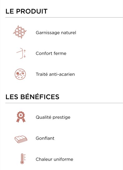 OREILLER CARRÉ NATUREL FERME ANTI-ACARIENS