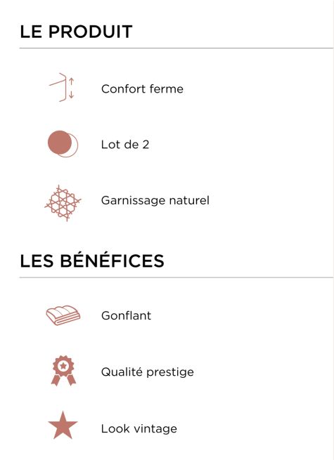 LOT DE 2 OREILLERS CARRÉS EN PLUMETTES